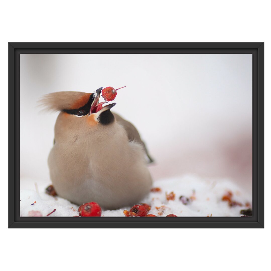 Gerahmtes Wandbild Kleiner VogelSchnee