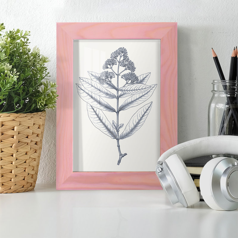 Indigo Botany Study I - impression d'un cadre photo, H 6 po x l 4 po x P 1 po, Rose