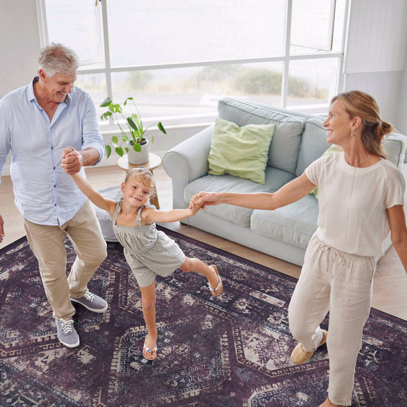 Washable Function Rug 4' X 6' Area Rug, Rectangle 6' x 4'