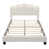 White is out of stock selected