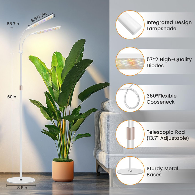 Lampe de culture à 2 têtes avec support, lampe à spectre complet avec minuteur et col-de-cygne à 360 °, hauteur réglable pour les plantes d'intérieur