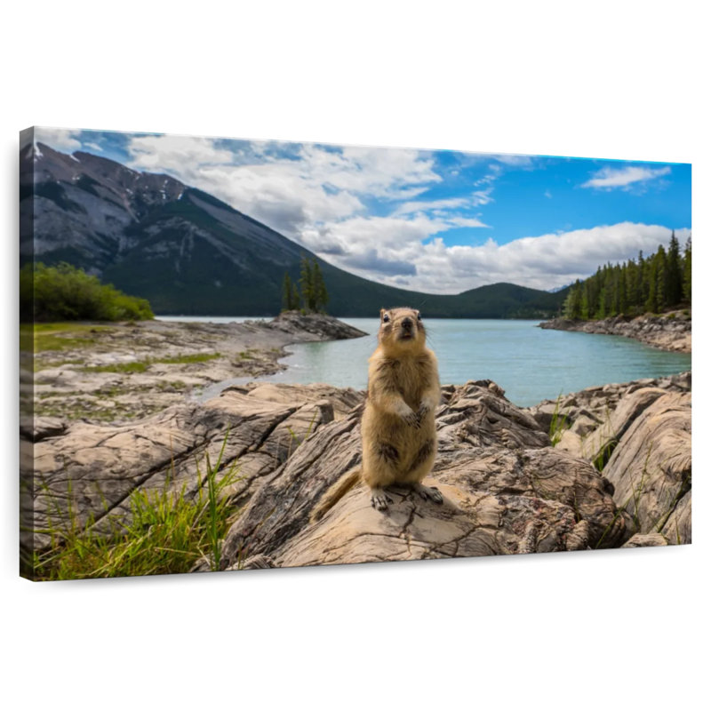 Brampt adorable Chipmunk, H 8 po x l 12 po