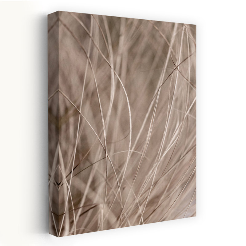 Summer Grass 3 Abstract Contemporary Nature Plant Wall Art Print, 60.96cm H x 40.64cm W