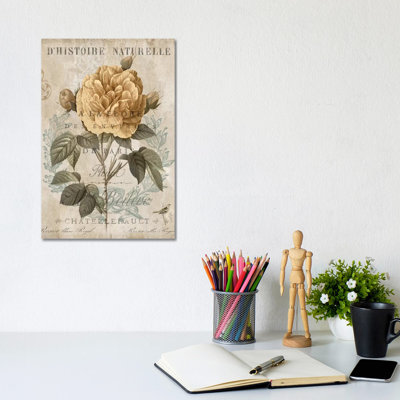 Botanique II 1 Piece Wall Art on Canvas