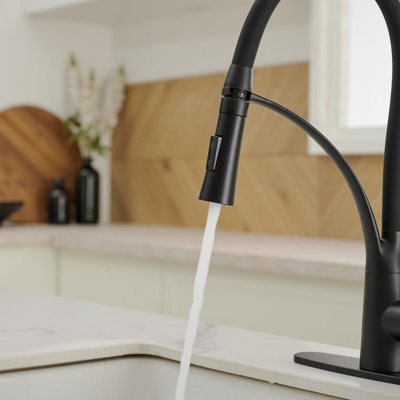 Robinet de cuisine rétractable à poignée simple avec accessoires, Noir mat