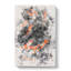 Carp & Koi Fish - Wrapped Canvas-56643531