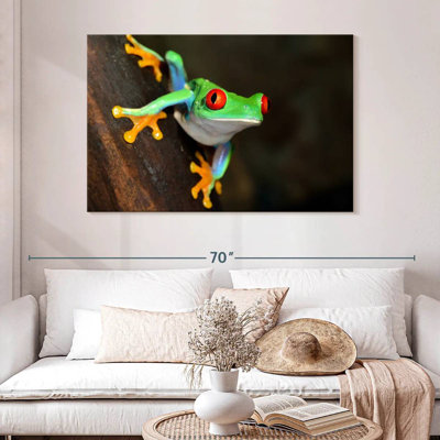 Tiny Red-Eyed Tree Frog