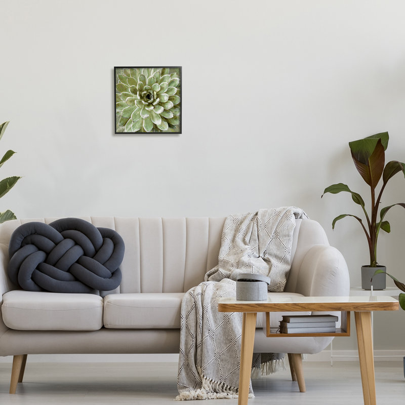 «Succulent Plant», vue abstraite encadrée sur bois par Lindsay Benson, peinture, Giclée encadrée noir minuit
