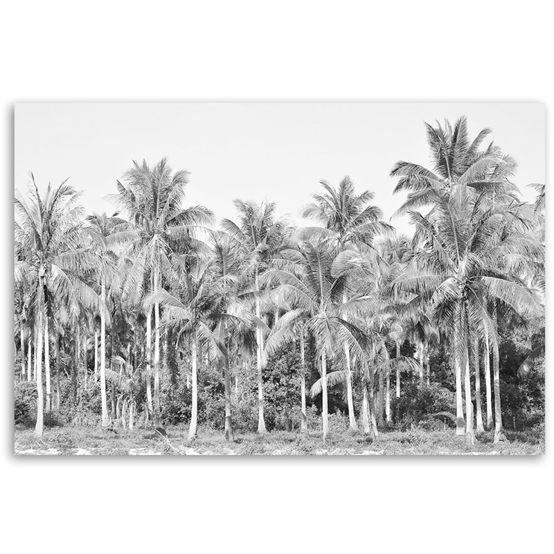 Palm Trees In The Jungle - Wrapped Canvas Print, 70cm H x 100cm W