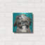 «Girly Shih Tzu» par Carolee Vitaletti-1369569383