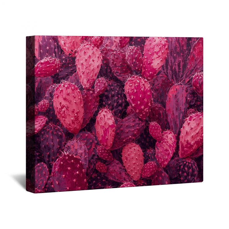 Toile tendue en toile de cactus rose, 20 po x 24 po