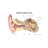 " External Auditory Canal Of Human Ear With Labels " by Alan Gesek-59561593