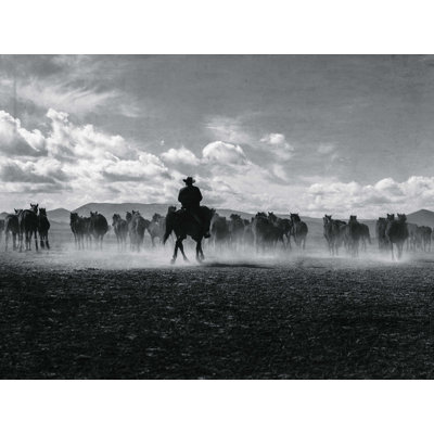 " Traditional Western Cowboy "