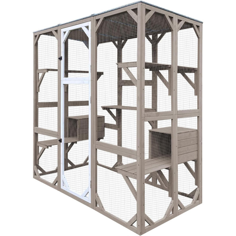 Outdoor Cat Enclosure
