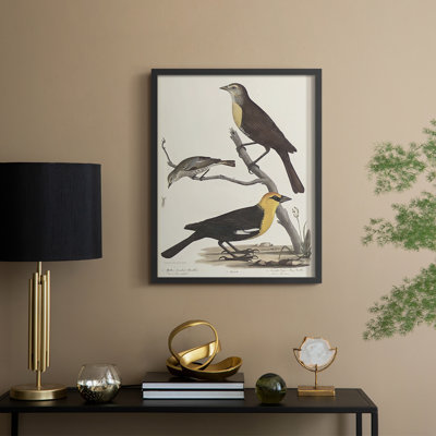 Vintage Animal Print XVIII Framed Print - Solid Wood