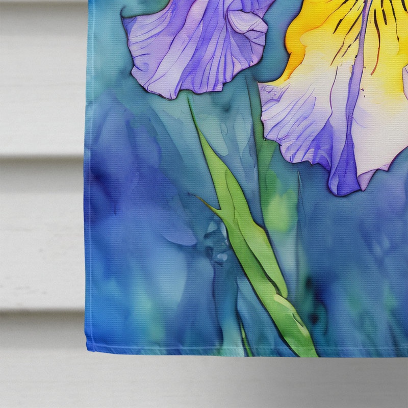 Double Sided 40'' H x 28'' W Polyester House Flag