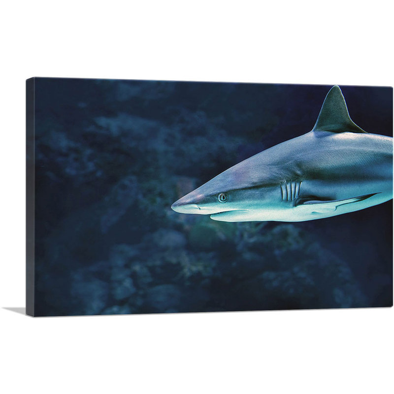 " Shark In Ocean Home Decor ", 26" H x 40" W x 0.75" D