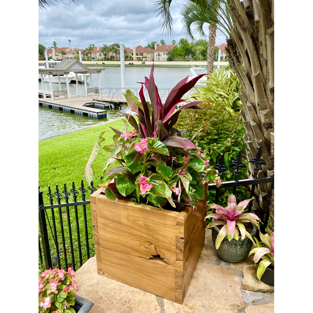 Felicia  Handmade Wood Pot Planter Bayou Breeze