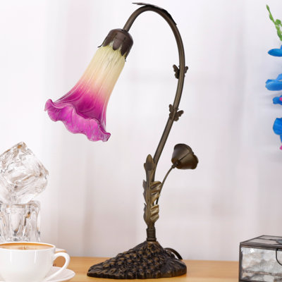 Ambania Metal Desk Lamp