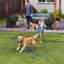 Équipement de dressage réglable pour chien, jeu de terrain pour chien avec poteaux, sac de transport et piquets de sol pour les jeux de parc animalier
