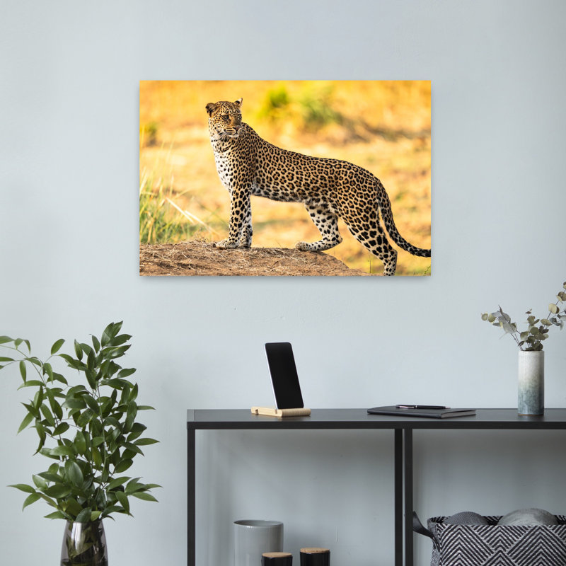 Watchful Leopard Elegant Contemporary Cat Animal Nature Wall Art Print 1 Piece Wrapped Canvas Wall Art, 40.64cm H x 60.96cm W