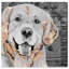 « love golden retriever », impression sur toile tendue-58081560-66813070