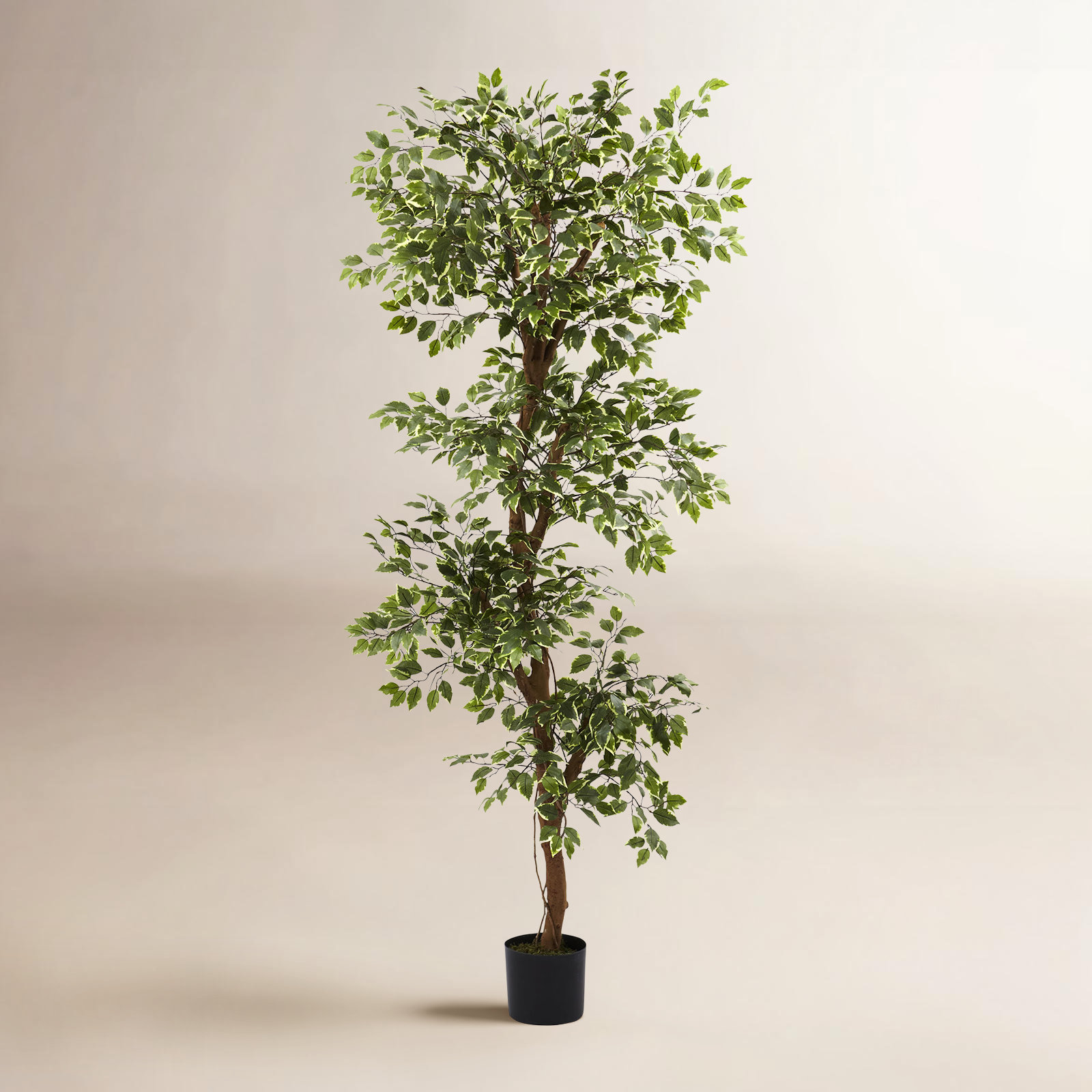 66'' Faux Ficus Tree in Pot