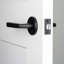 Ageless Iron Loch Rosette with Lance Lever-53146894-53146893