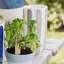 Viva Garden Handmade Planter-991620079-991620081