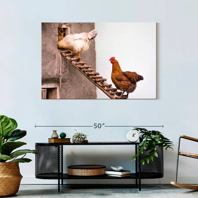 Brampt Chicken Coop, 30" H x 45" W