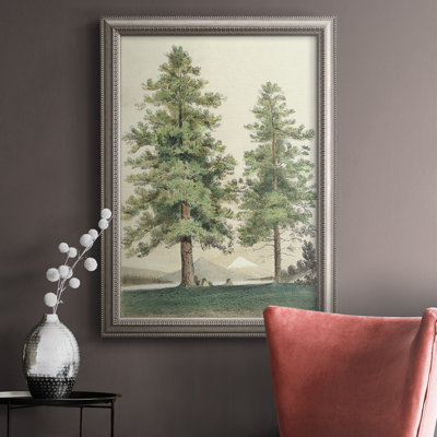 " Majestic Pine II "