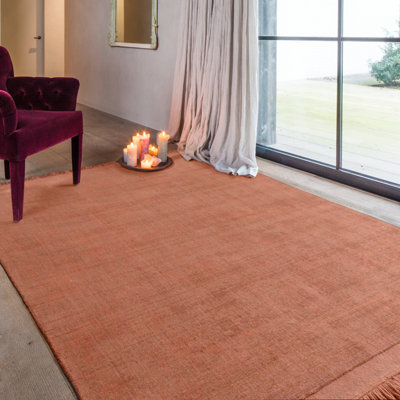 Aerilyn Solid Colour Hand Woven Area Rug