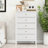 Philomena 42.3" H White 5-Drawer Dresser with Storage