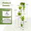 Plant Stand-114288591