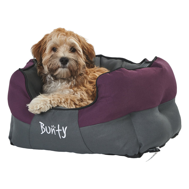 Levesque Polyester Pet Bed, 25cm H x 50cm W x 40cm D, Purple
