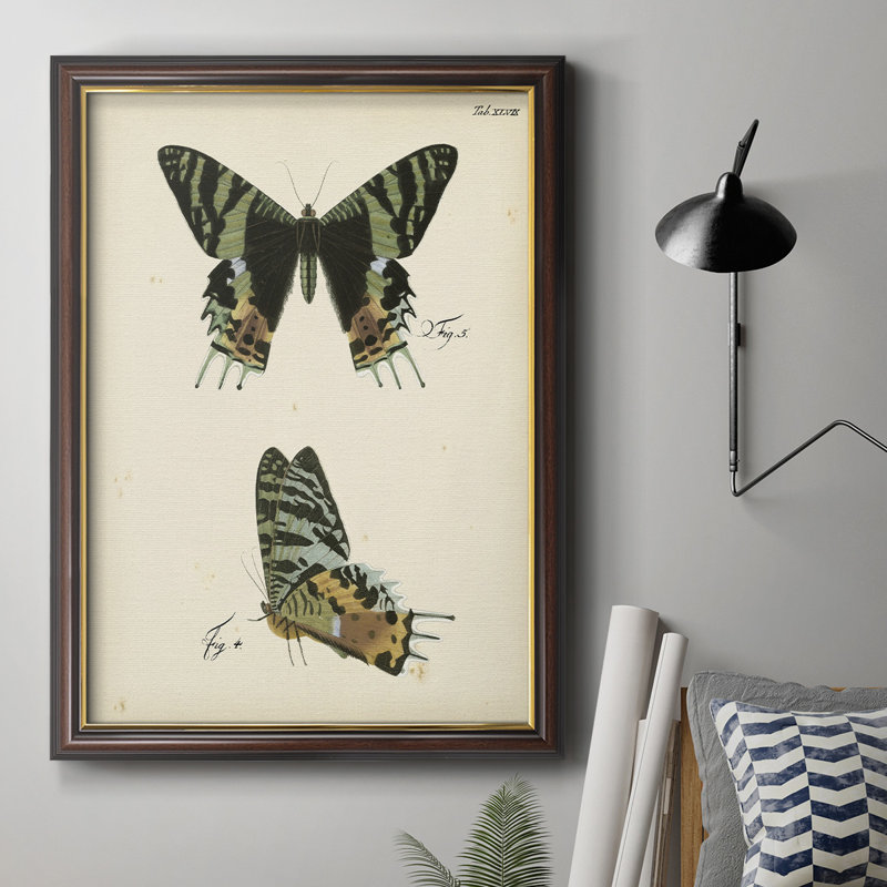 Butterfly Profile IV - Peinture sur toile encadrée, H 36 po x l 24 po x P 2,5 po