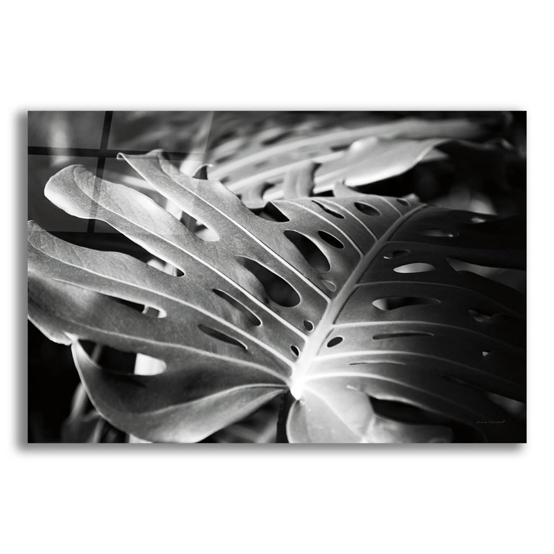 «Philodendron» par Laura Marshall, art mural en verre acrylique, H 16 po x l 24 po x P 0,2 po