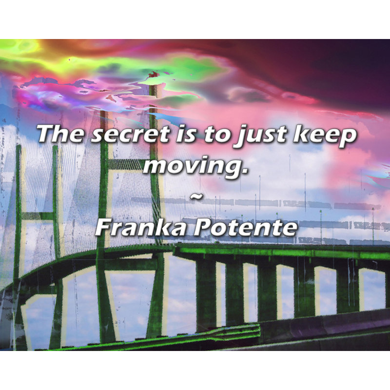 Citation de Franka Potente: Le secret est de simplement continuer à bouger.