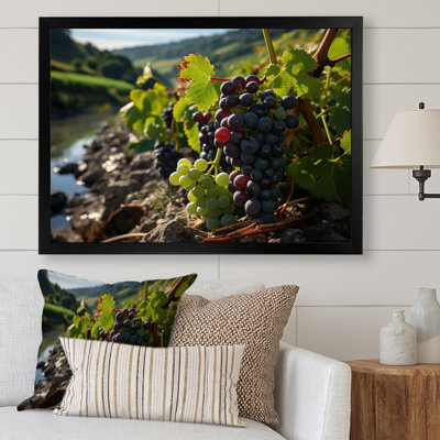 " Scenic Vineyard Reflections "