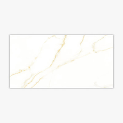 12 in. x 24 in. Porcelain Tile