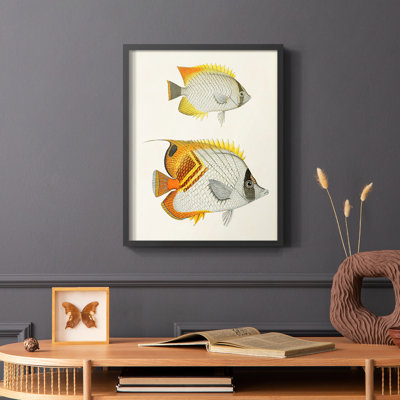«Yellow and Gray Fish I», reproduction encadrée - bois massif