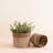 Cylinder Tabletop Basket, nested set of 2-1534868507