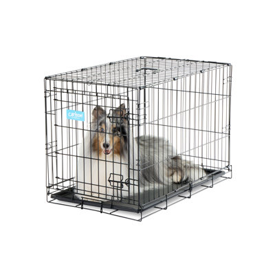 Cage en métal pour animaux Carlson