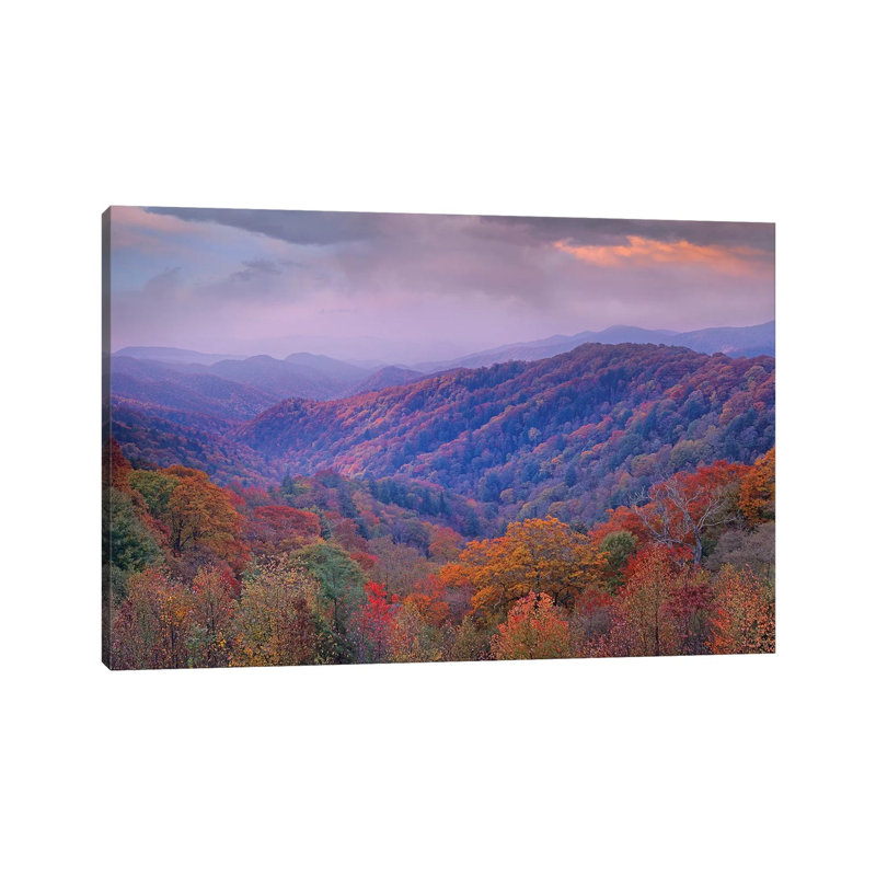 Autumn Deciduous Forest, Great Smoky Mountains National Park, Tennessee 1 Piece Wrapped Canvas Wall Art