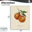 «Orange Fruit Portrait», estampe numérique, design par Danielle Murray-2130125530-2130125533