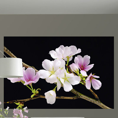 Chiron Wall Mural