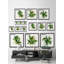 Mecosta Coastal Greenery by Marmont Hill - 3 Piece Picture Frame Print Set