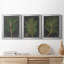 «Dramatic Pine I», ensemble de 3 peintures sur toile encadrées-334781473-334781476