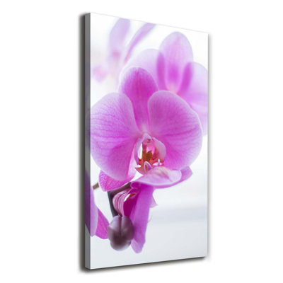Pink Orchid - Wrapped Canvas Print