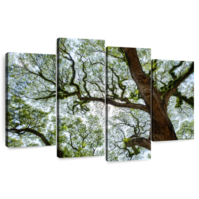 Harnek Rustic Tree, 27" H x 43" W